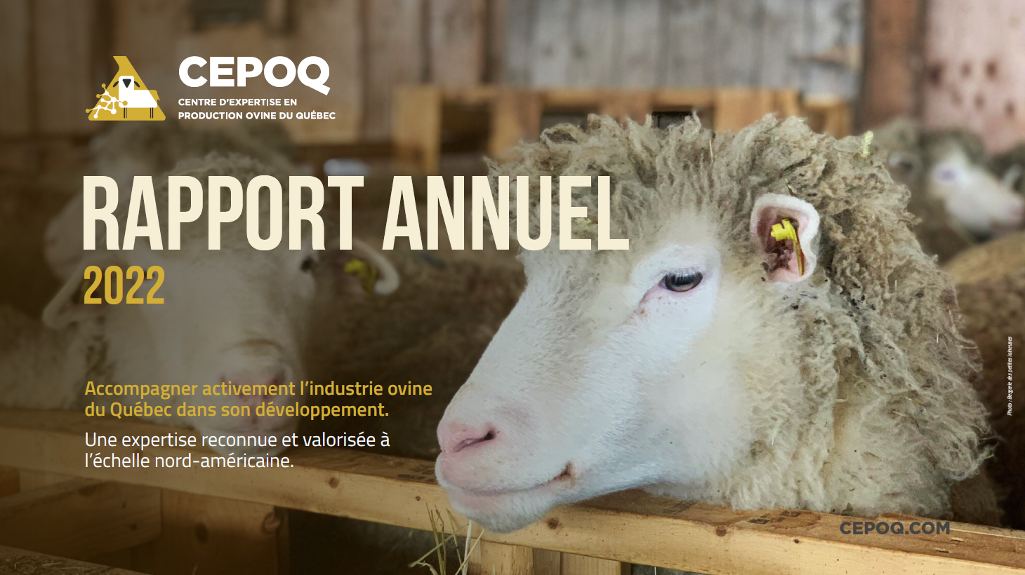 Rapport annuel CEPOQ 2019