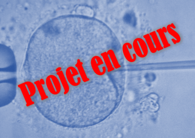 Application des technologies en embryologies chez les animaux pré-pubères et pubères pour l’accélération de la sélection génétique et le développement du secteur ovin