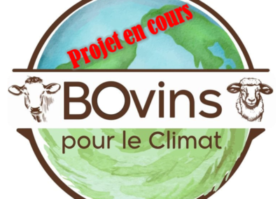 BOvins pour le climat (Vers des productions bovines et ovines prospères et vertes) (2024)