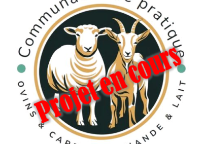 Déploiement de la communauté de pratique pour les intervenants des productions ovine et caprine (2024)