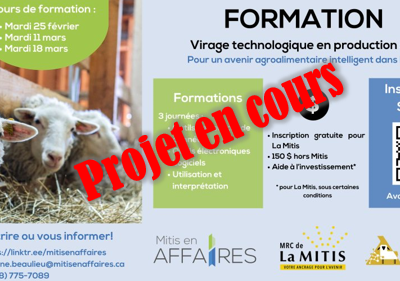 Virage technologique en production ovine, pour un avenir agroalimentaire intelligent dans La Mitis! (2024)