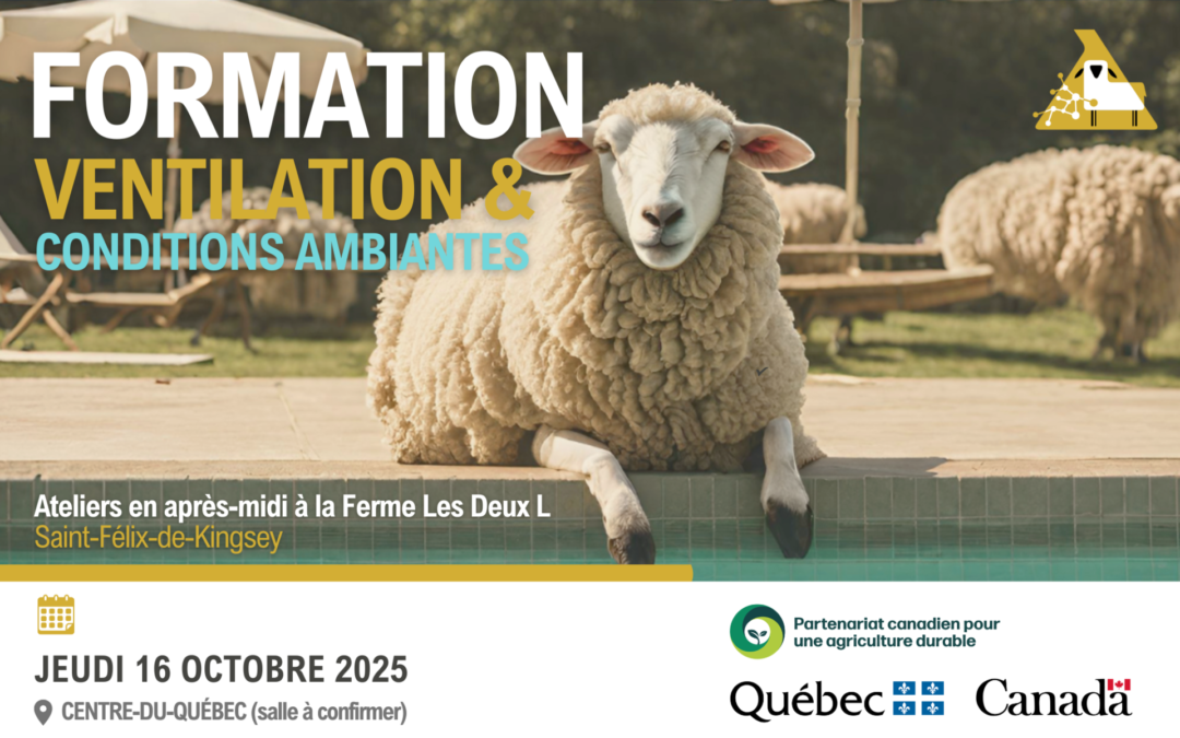 🌦️ Formation ventilation et conditions ambiantes