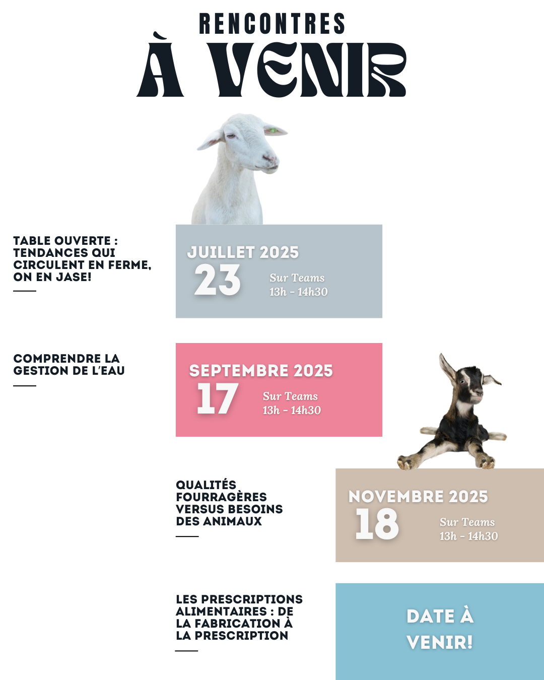 Calendrier page web_CDP 2025_fond blanc