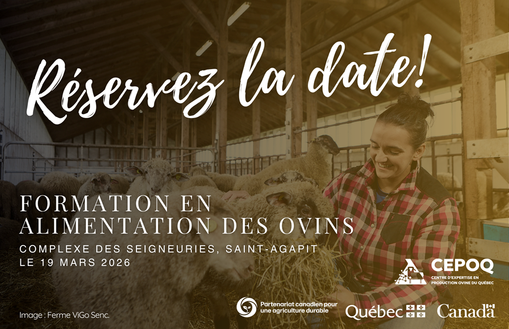 🐑🌿Formation en alimentation des ovins