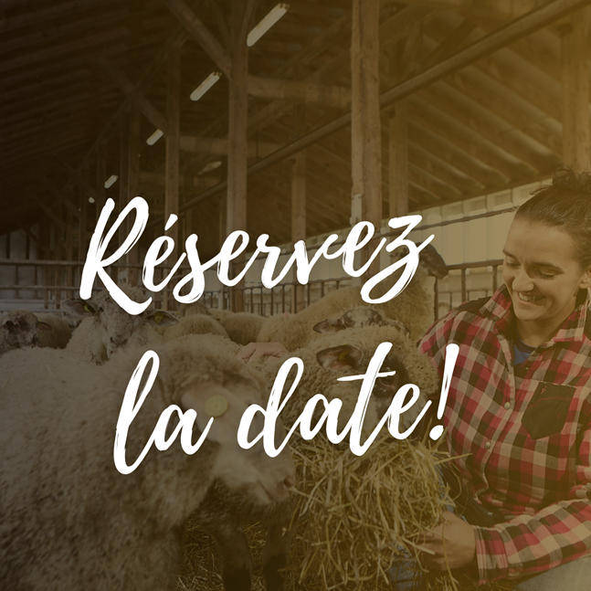 Save the Date Formation alimentation 2026_carré_petit