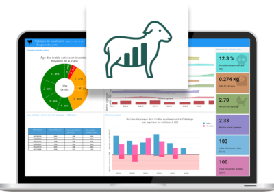 Projet pilote de service d’accompagnement pour l’outil de tableau de bord du gestionnaire ovin (2023)