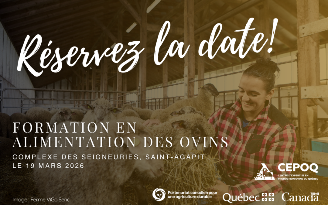 Lancement des inscriptions🐑🌿Formation en alimentation des ovins