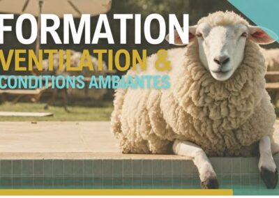 Innovation et nouvelles perspectives en matière de ventilation et maitrise des conditions d&rsquo;ambiance pour le bien-être optimal des petits ruminants (2024)