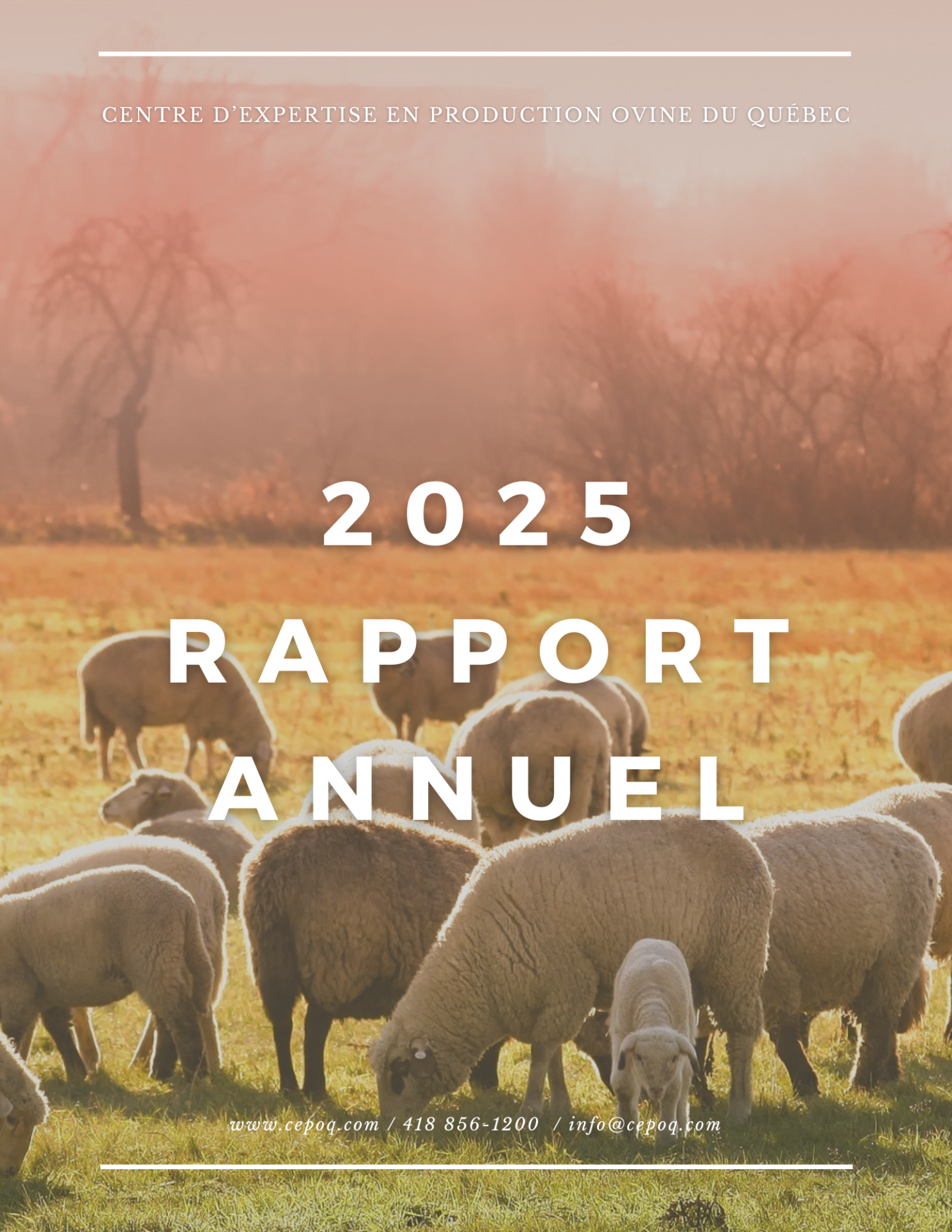 Rapport annuel CEPOQ 2019