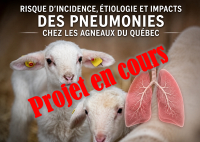 Risque d&rsquo;incidence, étiologie et impacts des pneumonies chez les agneaux du Québec (2026)